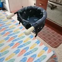 Seggiolino da tavolo, per bambini 20,00 euro 👌