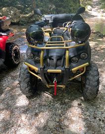 Quad access 300