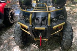 Quad access 300