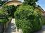 Immagine 11