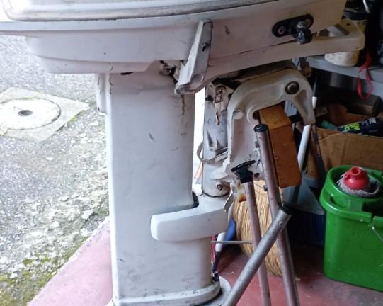 Motore fuoribordo Johnson 25/30