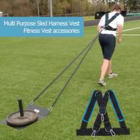 Pettorina imbragatura cinghie traino pesi