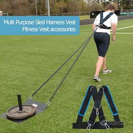 Pettorina imbragatura cinghie traino pesi