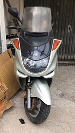 Majesty 250 del 2000