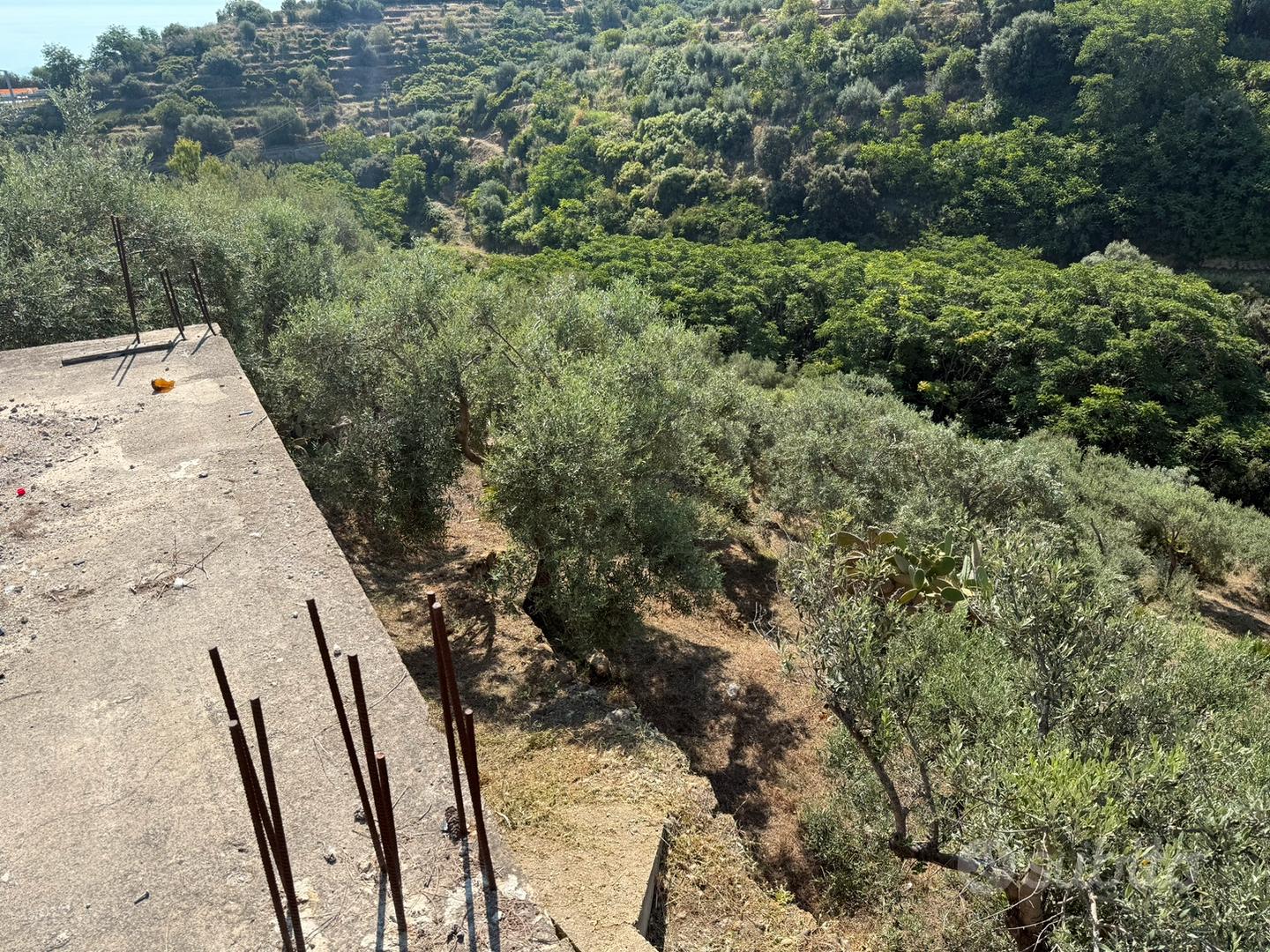 Stanza con terreno - Vista 2