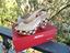 Immagine 2