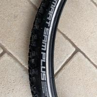 Schwalbe 29
