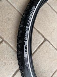 Schwalbe 29