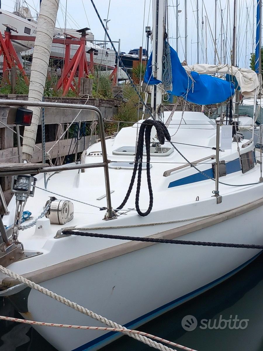 Cat 32 — View photo 1