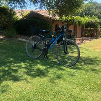 E-bike cross Devron