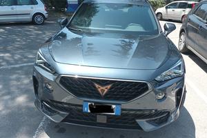 Cupra formentor maggio 2024