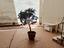 Immagine 22