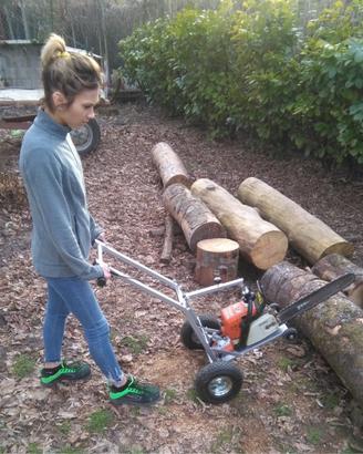 Supporto motosega taglia tronchi