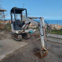 miniescavatore.
