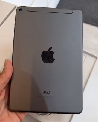 IPAD MINI 5 256GB WIFI+CELL CON GARANZIA