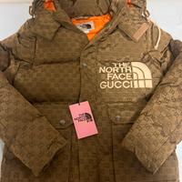 Giubbotto Gucci edizione limitata north face