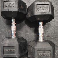 Rogue KG Dumbbells

