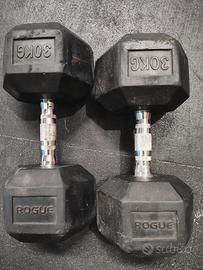 Rogue KG Dumbbells

