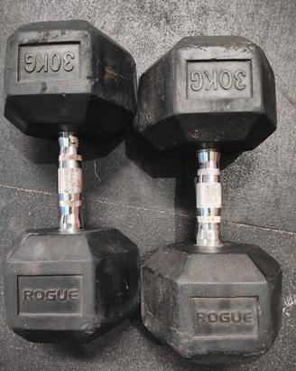 Rogue KG Dumbbells

