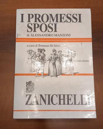 i promessi sposi 