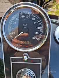Harley davidson fat boy