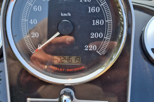 Harley davidson fat boy
