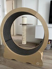 Ruota per gatti