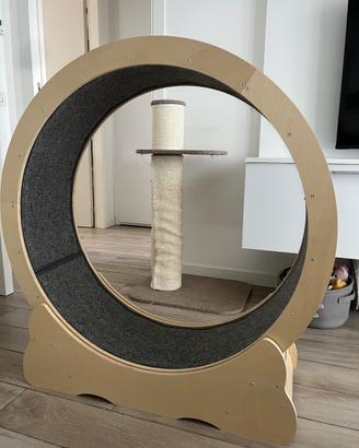 Ruota per gatti