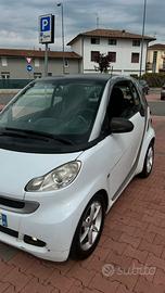 Smart 2009