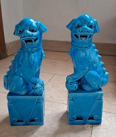 COPPIA CHIMERE