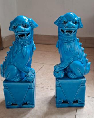 COPPIA CHIMERE