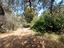 Immagine 26
