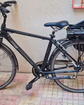 bicicletta elettrica