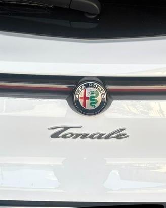 Fanale posteriore Alfa Tonale LED danneggiato