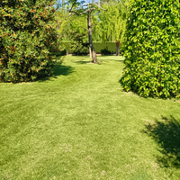 Villa indipendente con parco e capannone