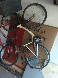 bicicletta da donna 