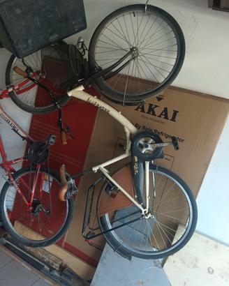 bicicletta da donna 