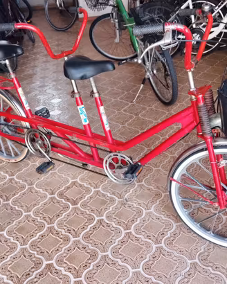 TANDEM ruote da 24