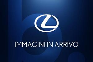 Lexus UX 250h Luxury 2wd cvt