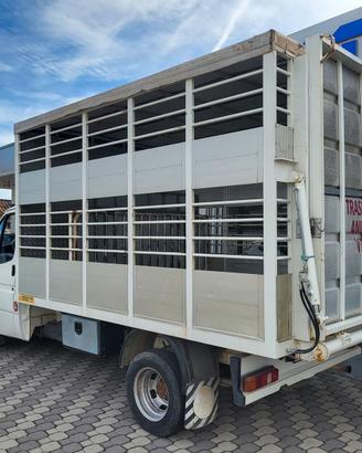 Ford Transit 2.5 diesel TRASPORTO ANIMALI VIVI - B