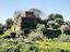 Immagine 28