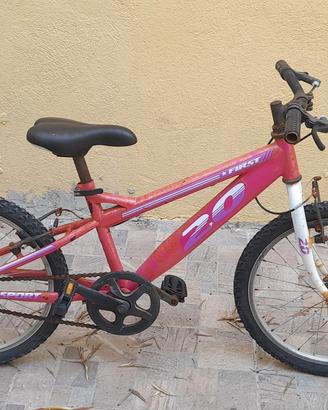 Bicicletta da 20"