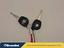 Immagine 26