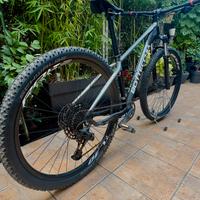 Montain bike Bottecchia Gavia 29