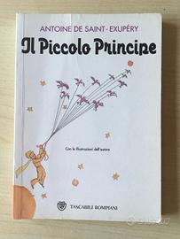 Il piccolo principe, Antoine De Saint-Exupéry