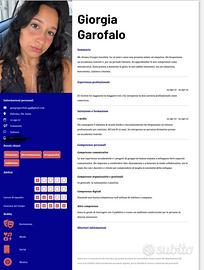 Commessa-banconista-cameriera-cassiera-segretaria