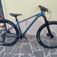 mtb 29 Giant