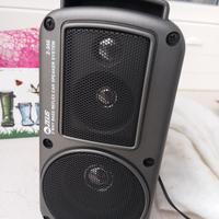 cassa acustica piccola 