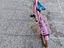 Immagine 4