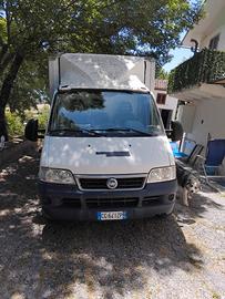 Ducato furgonato